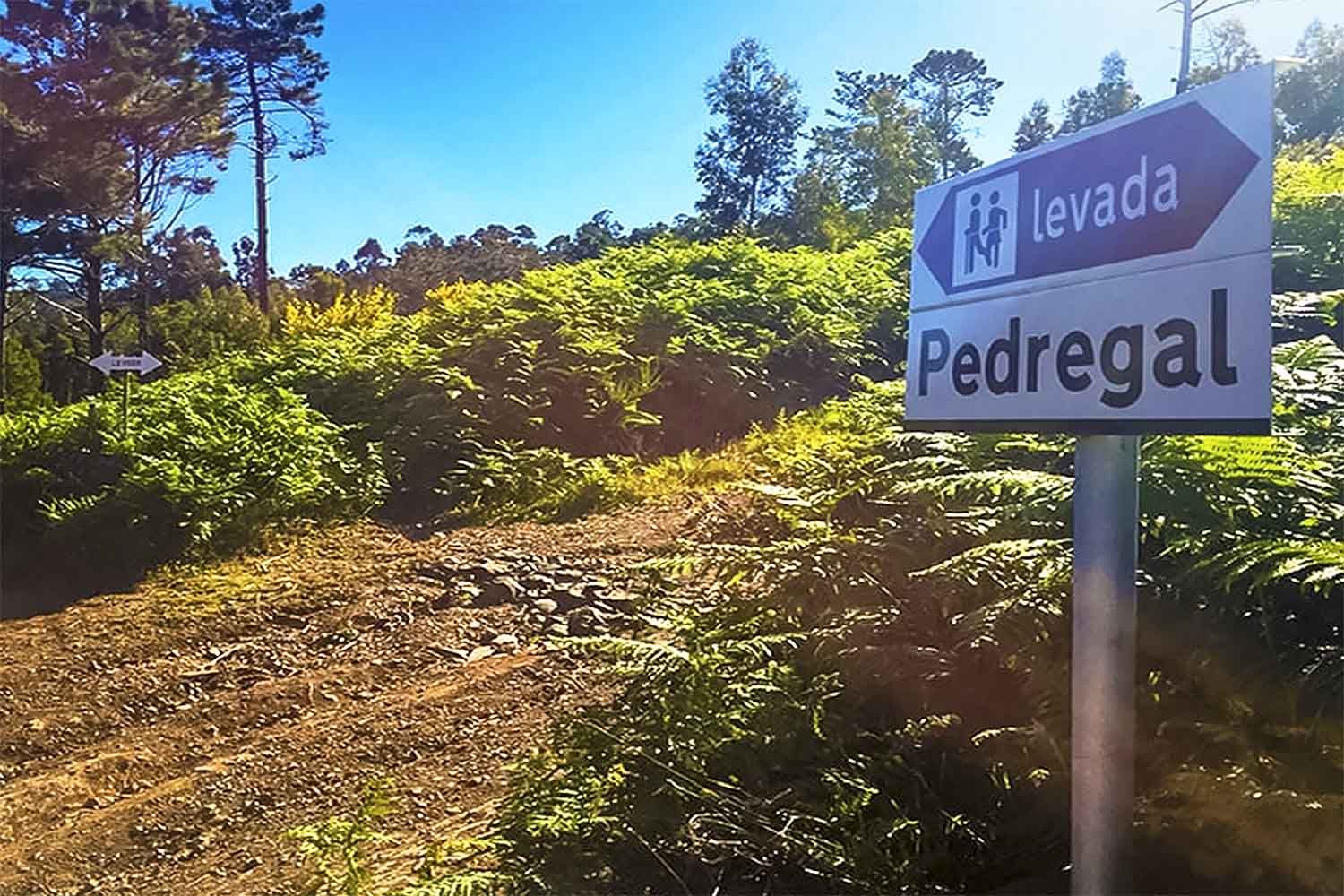 Levada Pedregal – Ponta do Pargo Walk
